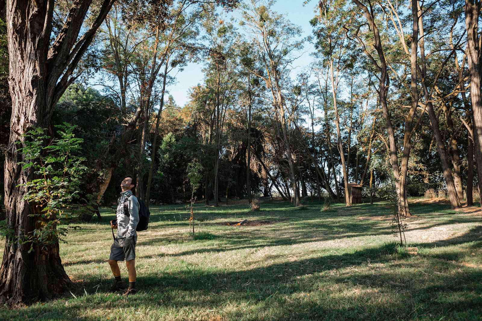 Walden Ranch - Linden, California - glamping.directory