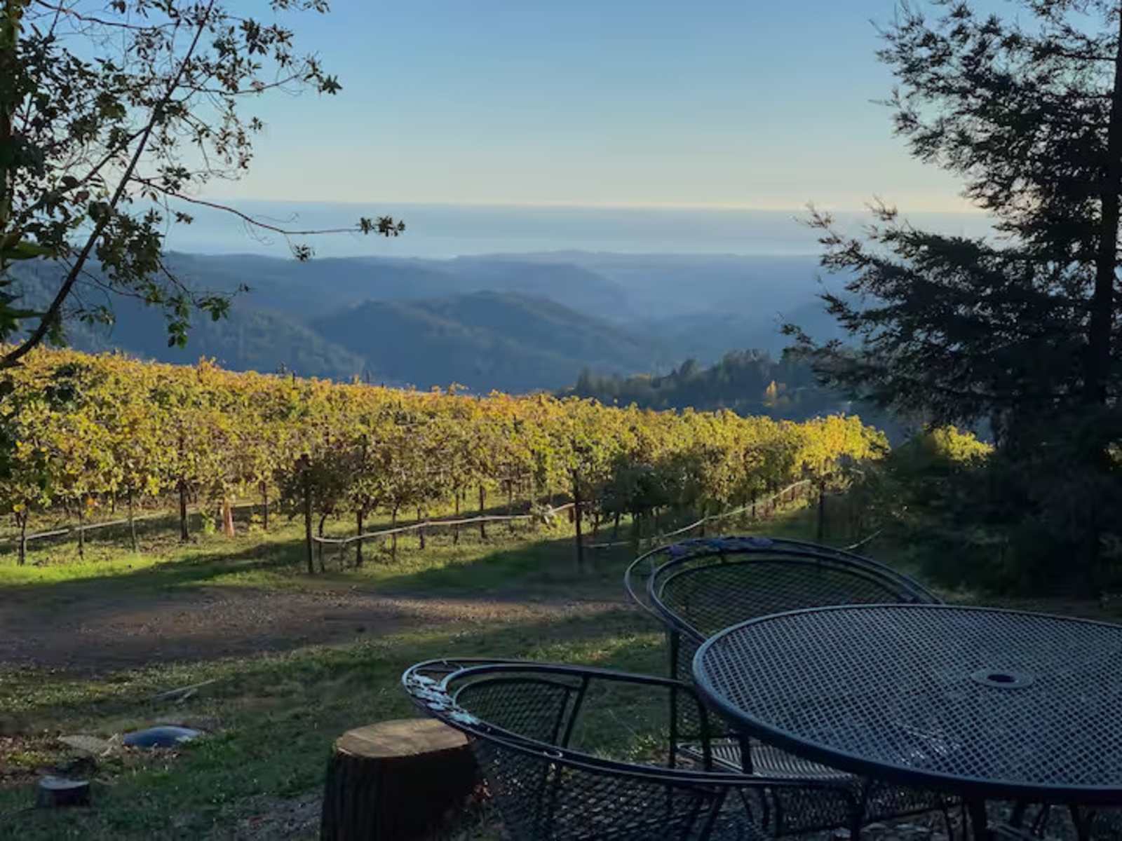 Epic Views at Lago Lomita Vineyards - Los Gatos, California - glamping.directory