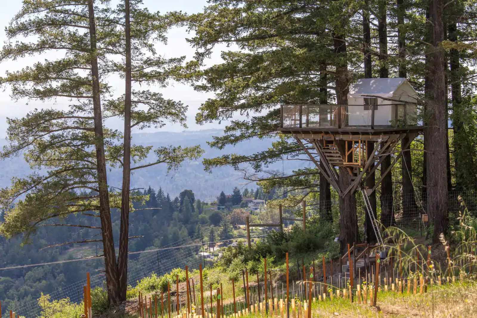 Epic Views at Lago Lomita Vineyards - Los Gatos, California - glamping.directory