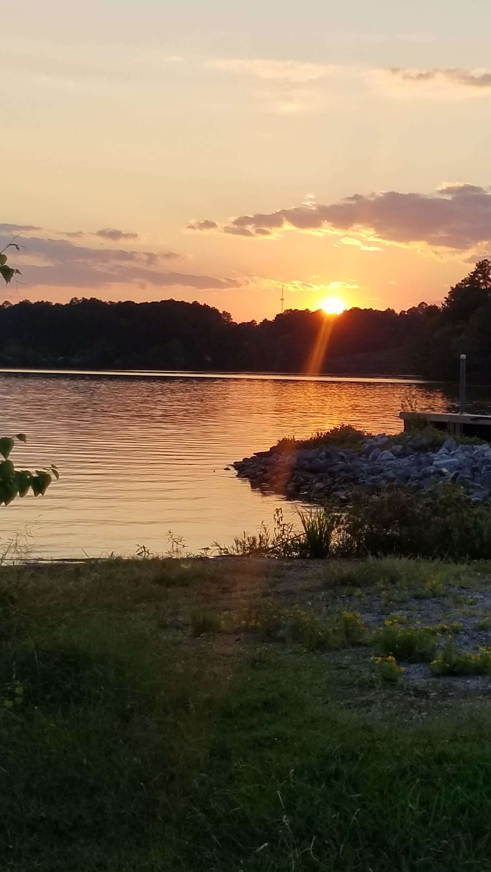 D' Campsite - Rogersville, Alabama - glamping.directory