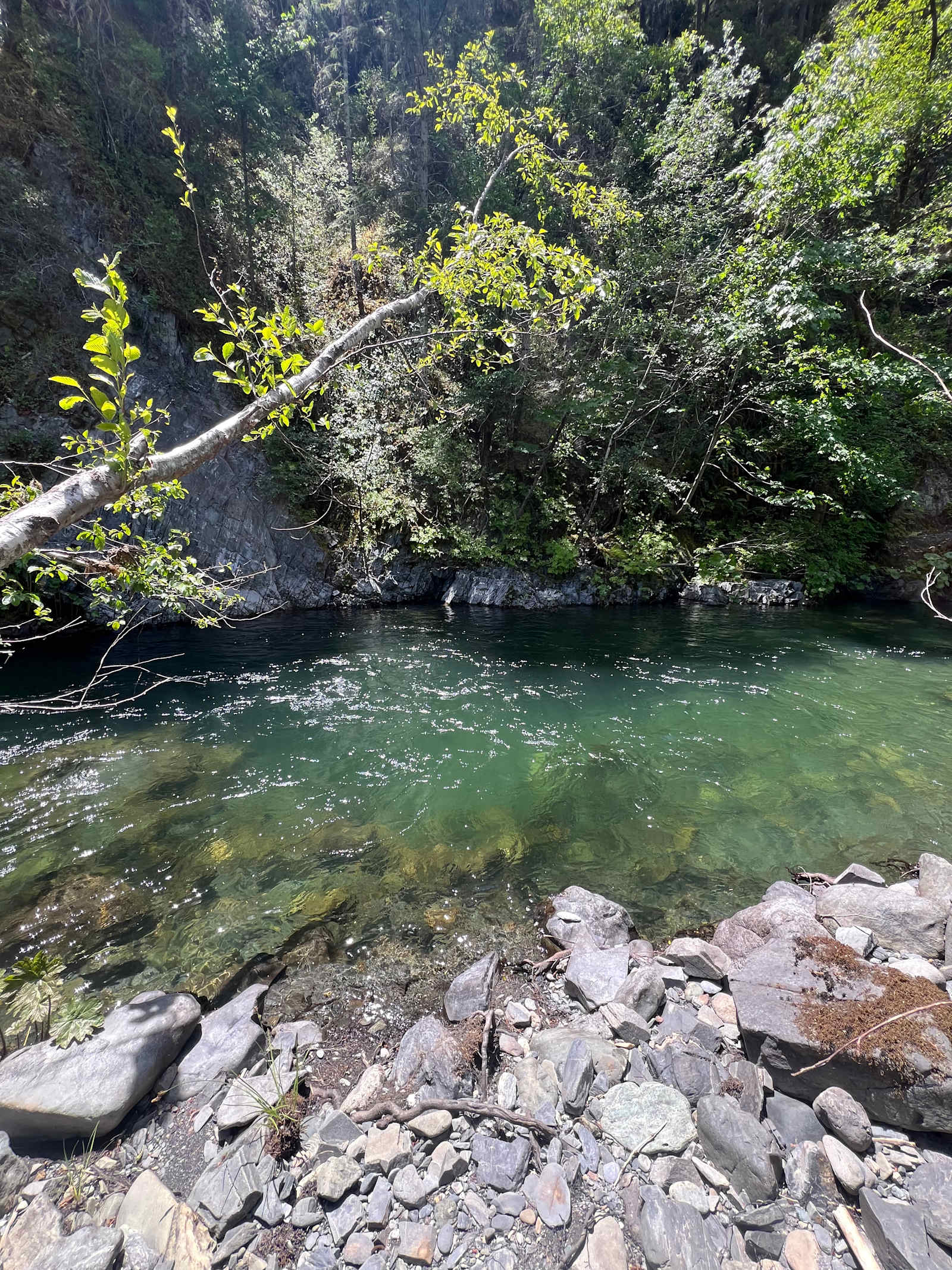Tranquil Riverside Camping - Willow Creek, California - glamping.directory