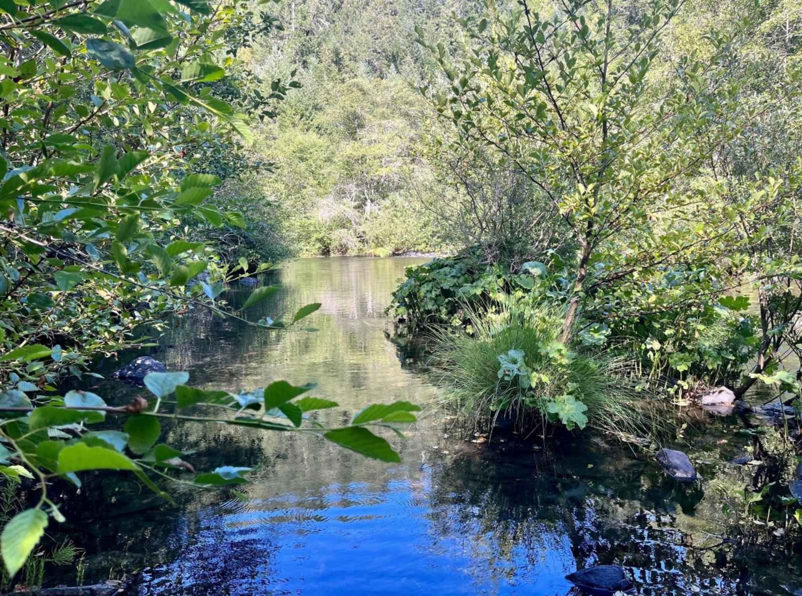 Tranquil Riverside Camping - glamping.directory