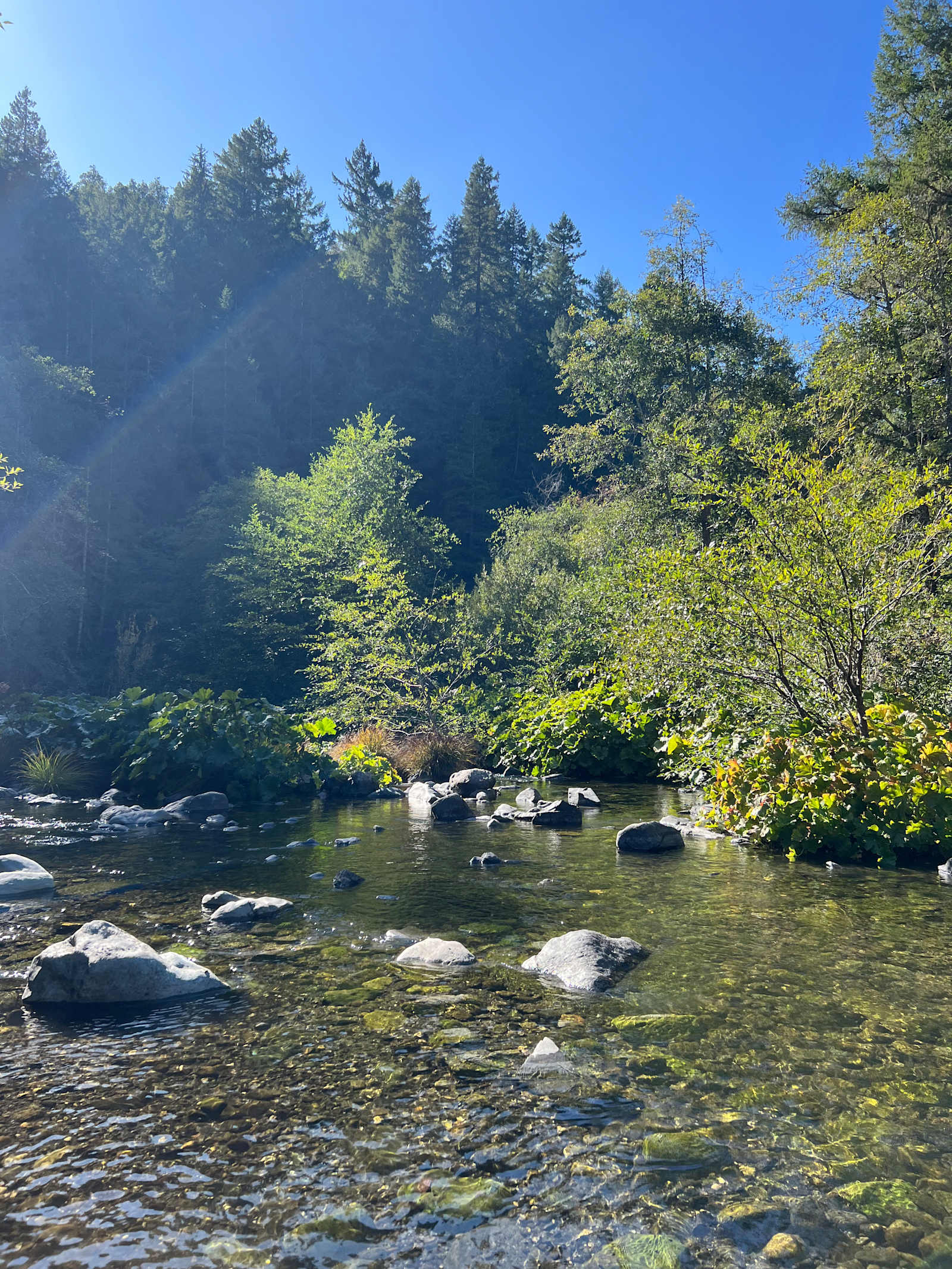 Tranquil Riverside Camping - Willow Creek, California - glamping.directory