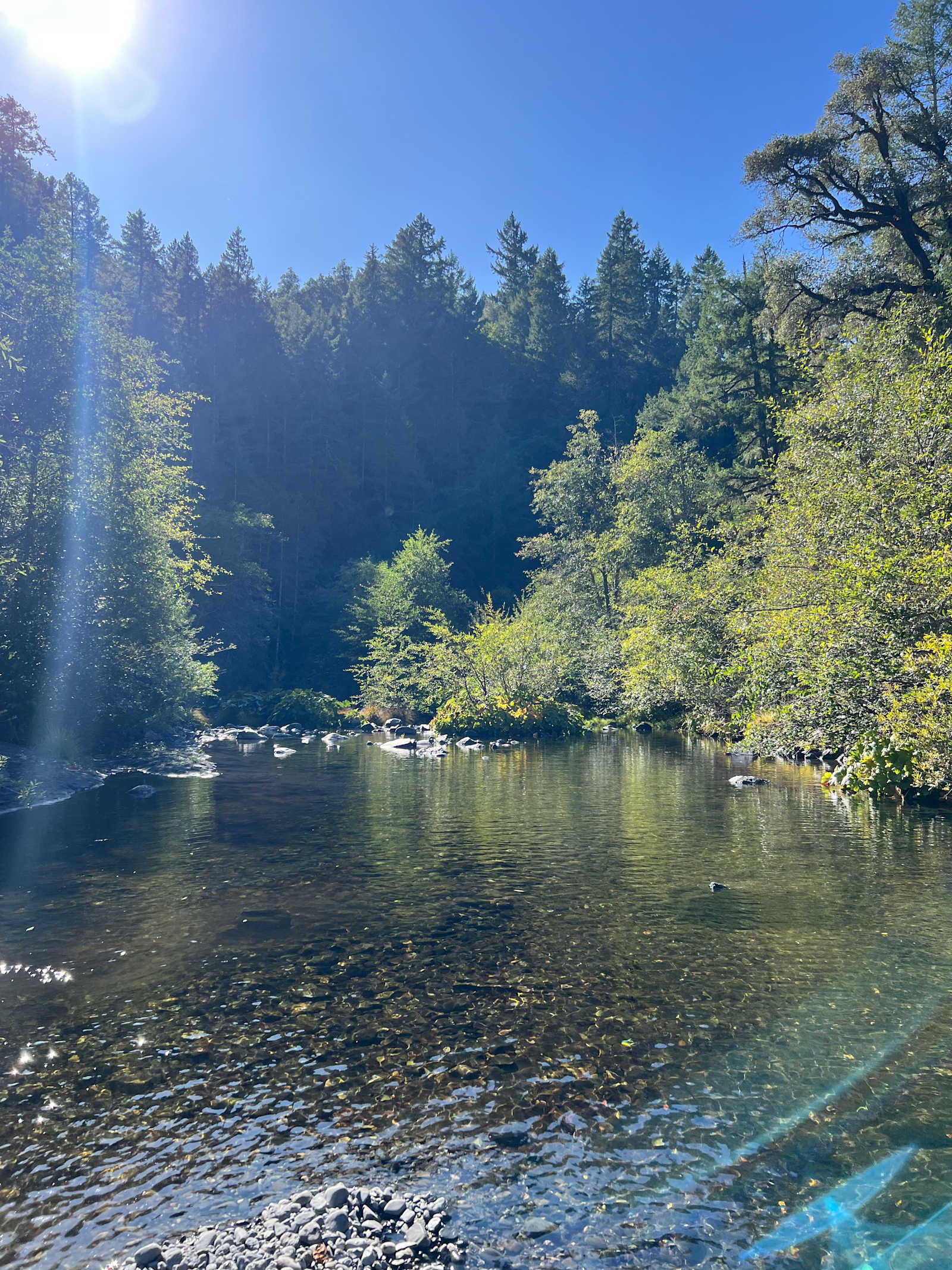 Tranquil Riverside Camping - Willow Creek, California - glamping.directory
