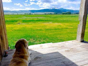 Romantic Cabin Getaway Along the Madison River in Ennis, Montana - Ennis, Montana - glamping.directory