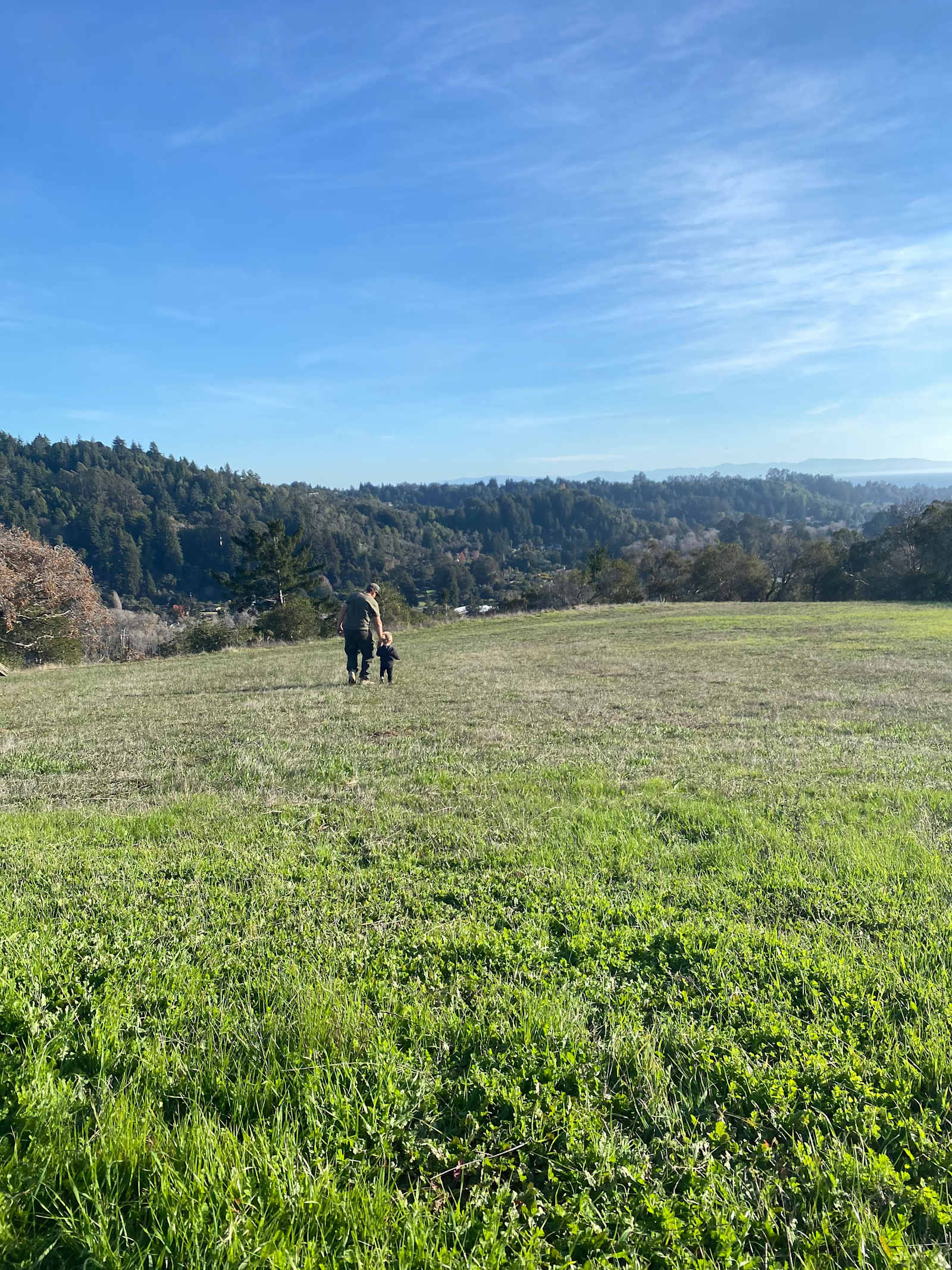 Santa Cruz Soquel SDA Campgrounds - glamping.directory