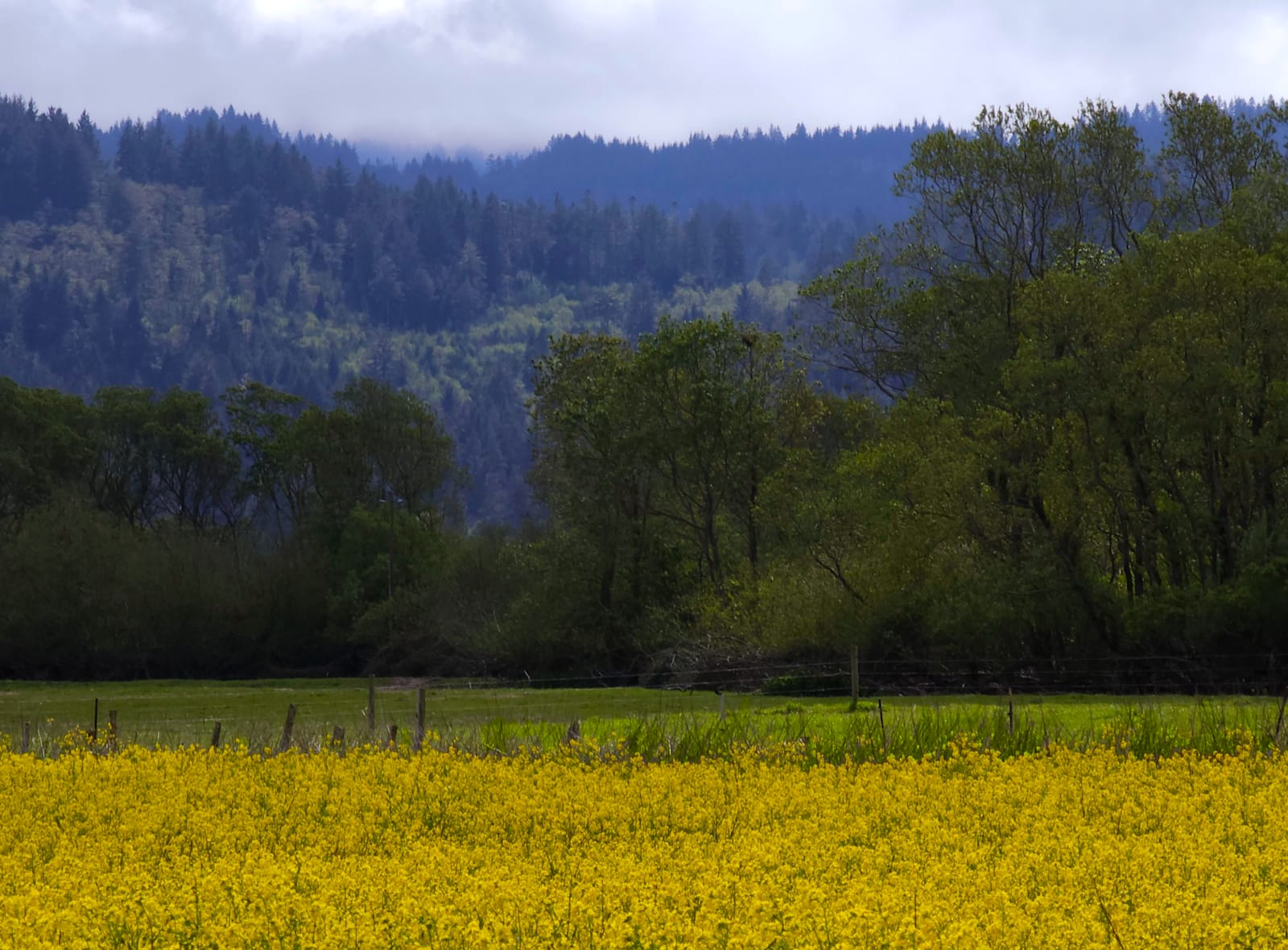 Farm Retreat at Hidden Meadow - California - glamping.directory