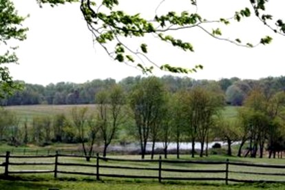 Pleasant Cozy Airstream with Amazing Stargaze and Farm Views in Maryland - Darnestown, Maryland - glamping.directory