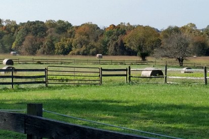 Pleasant Cozy Airstream with Amazing Stargaze and Farm Views in Maryland - Darnestown, Maryland - glamping.directory