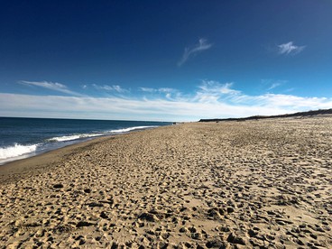 Spacious Luxury Pet-Friendly Cottage with Large Outdoor Deck on Martha’s Vineyard, Edgartown, Massachusetts - Edgartown, Massachusetts - glamping.directory