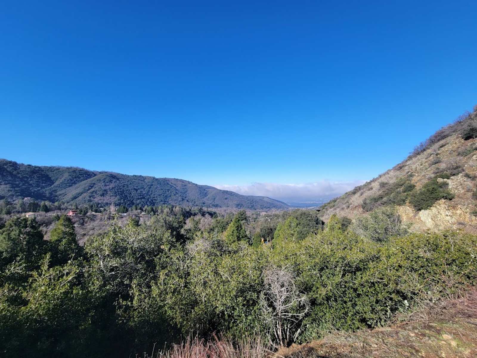 Kingsfoil Hollow - Oak Glen, California - glamping.directory
