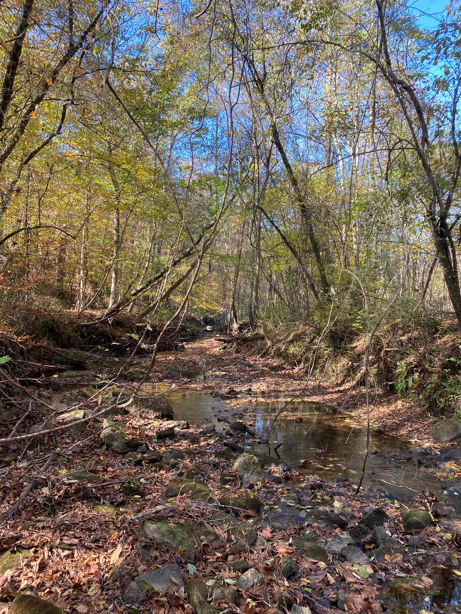 Willow Creek Camping - Wetumpka, Alabama - glamping.directory