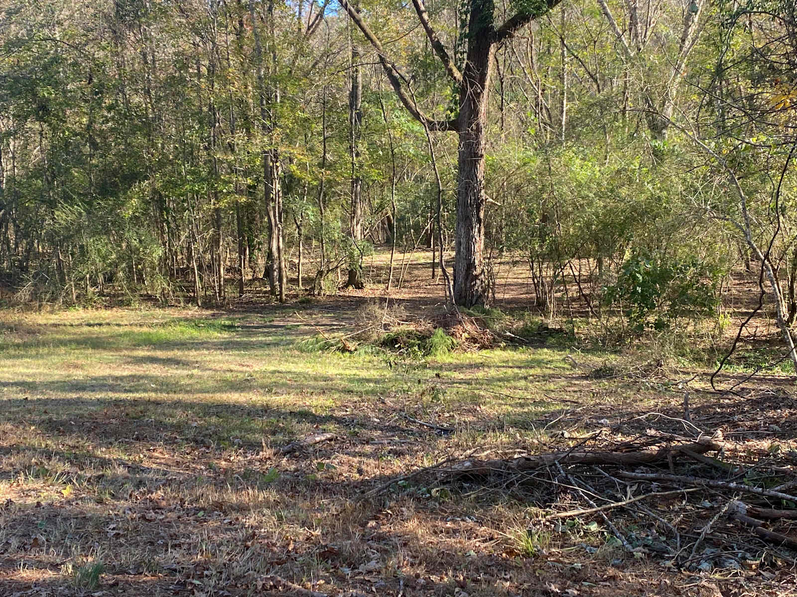Willow Creek Camping - Wetumpka, Alabama - glamping.directory