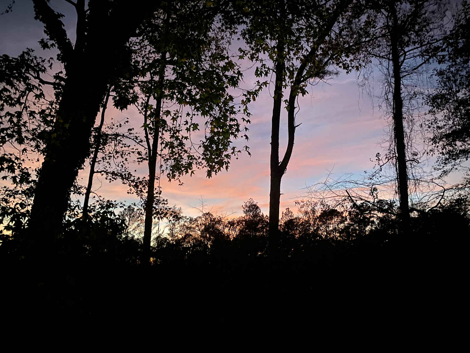 Willow Creek Camping - Wetumpka, Alabama - glamping.directory