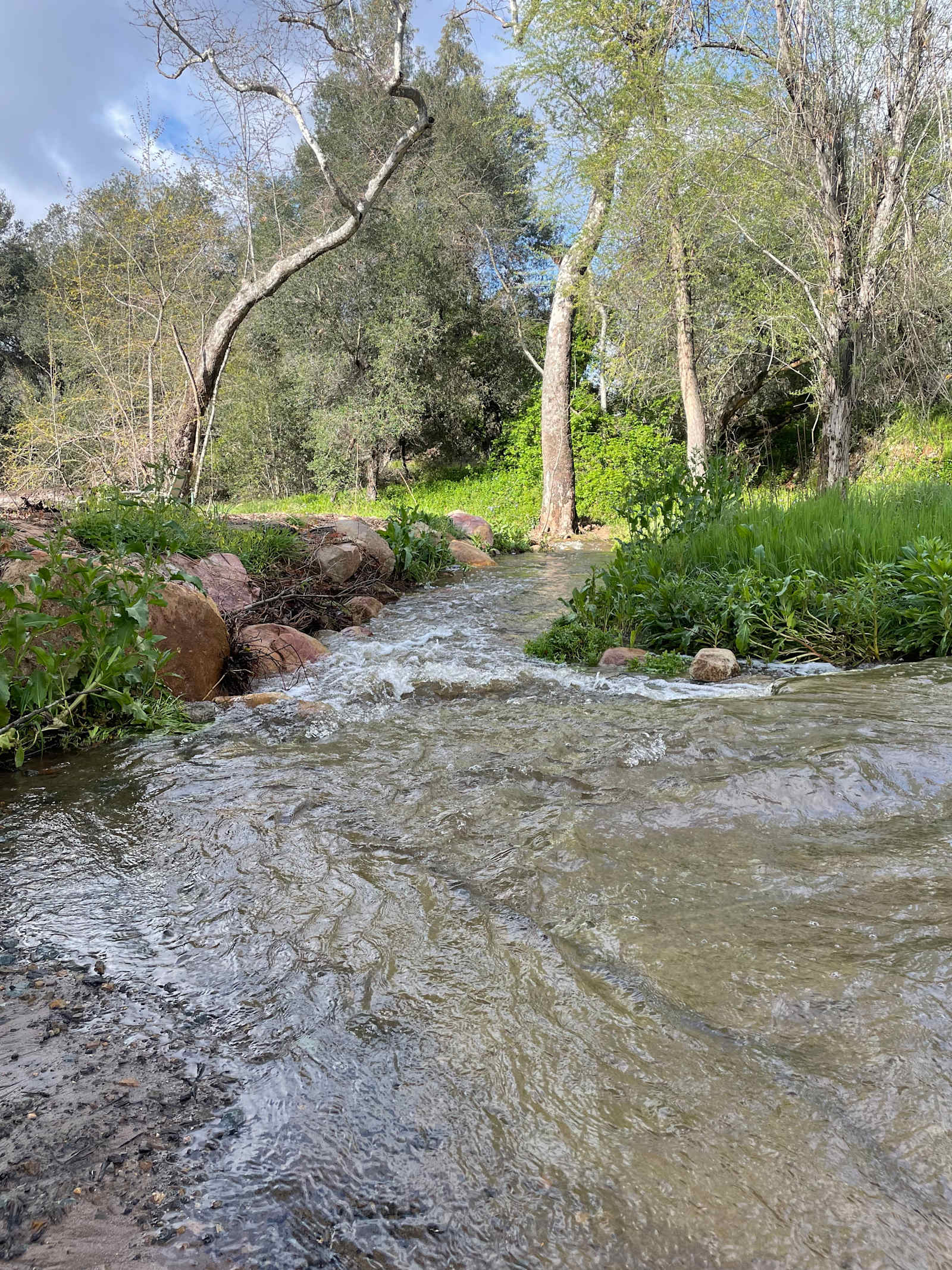 San Diego Canyon Creek - El Cajon, California - glamping.directory