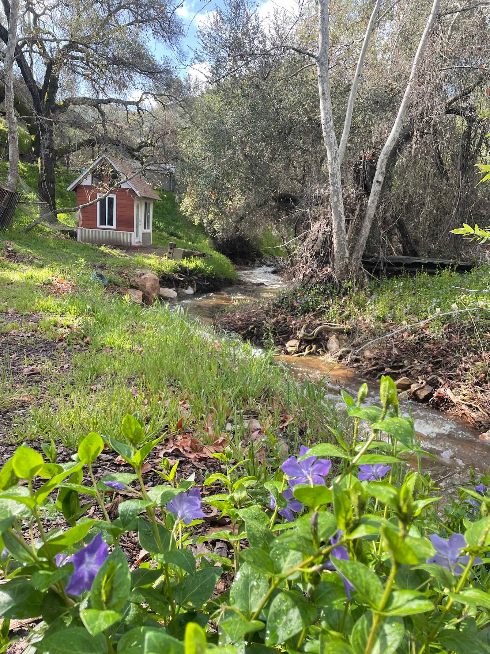 San Diego Canyon Creek - El Cajon, California - glamping.directory