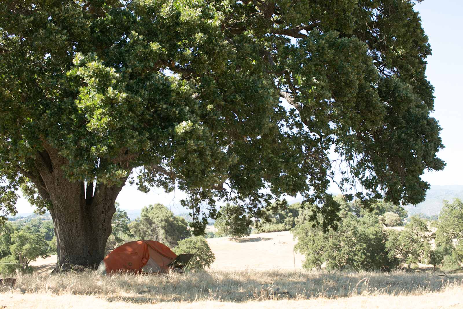 Diamond Gulch - glamping.directory