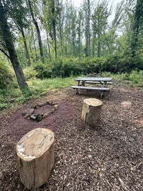 Serene Tiny House Nestled in the Woods in Quakertown for a Romantic Glamping Getaway in Pennsylvania - Quakertown, Pennsylvania - glamping.directory