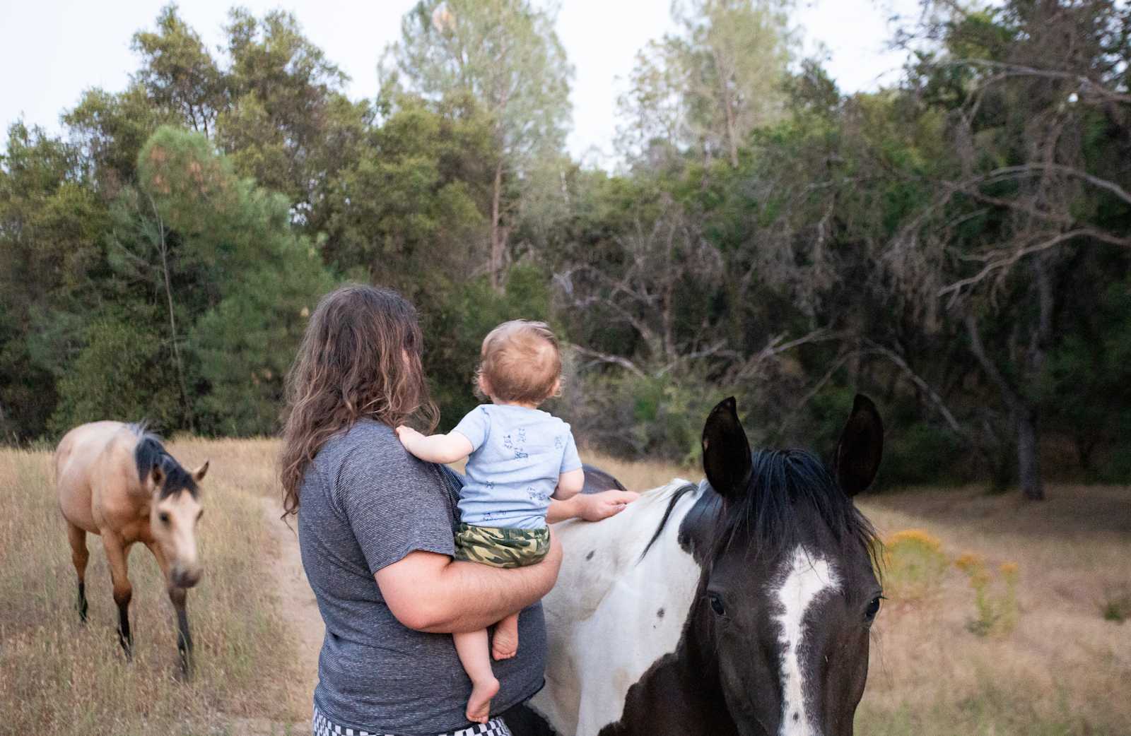 Willow Belle Ranch - North Fork, California - glamping.directory