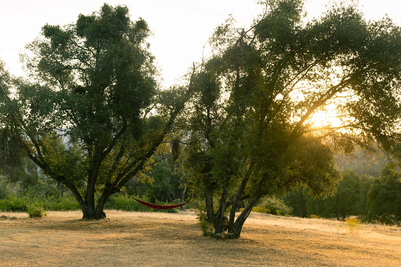 Willow Belle Ranch - North Fork, California - glamping.directory