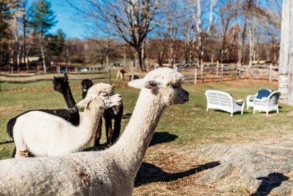 Beautiful Tent Ideal for Luxury Camping in Vermont - Springfield, Vermont - glamping.directory