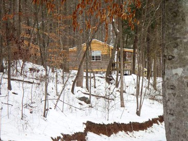 Enchanting Cabin Rental in the Woods with Shared Hot Tub near Arab, Alabama - Union Grove, Alabama - glamping.directory