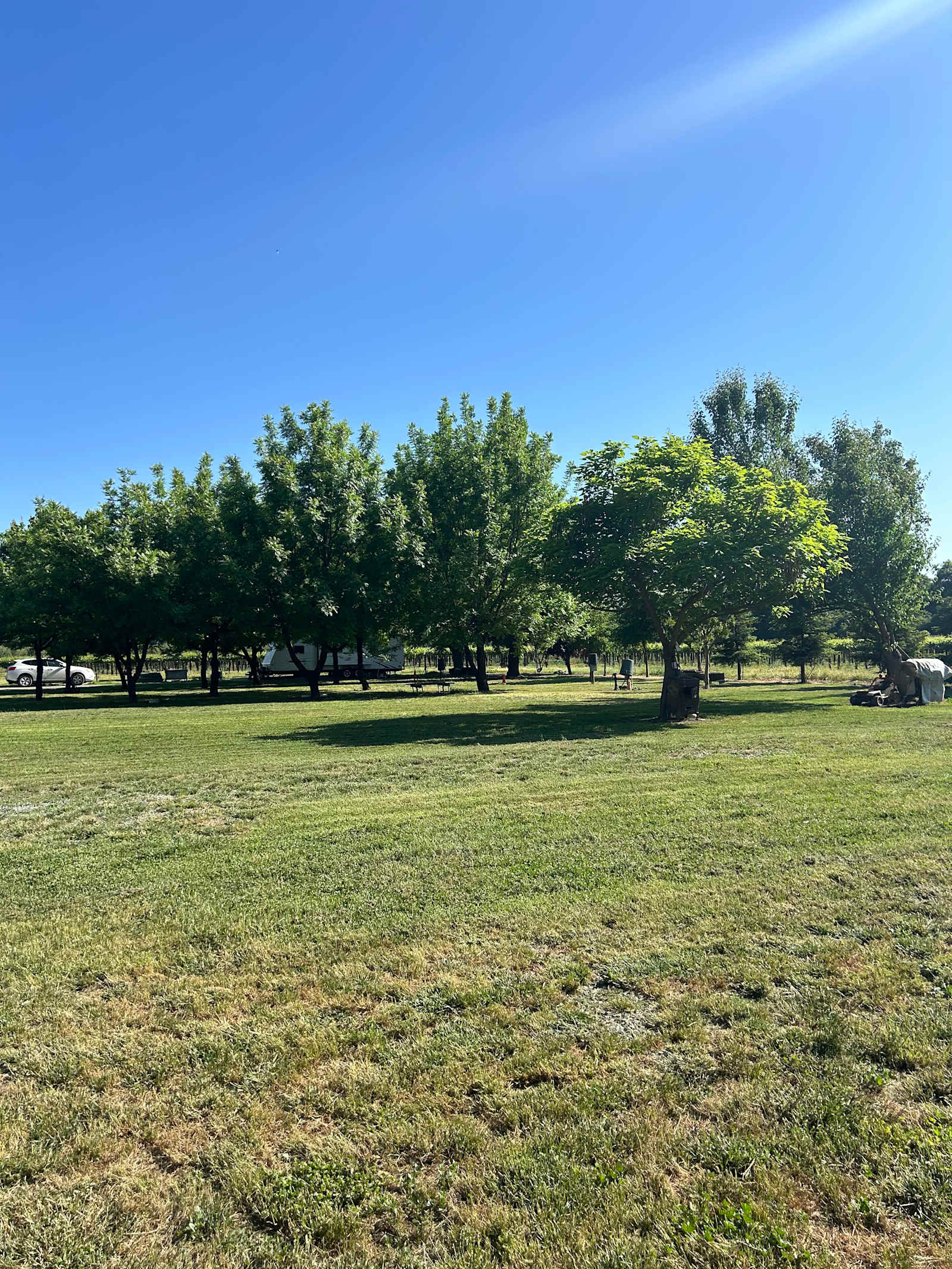 Hy View Ranch & Camp - glamping.directory