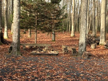 Spacious Mountain Cabin with a Fire Pit near Deep Creek Lake in Maryland - Oakland, Maryland - glamping.directory