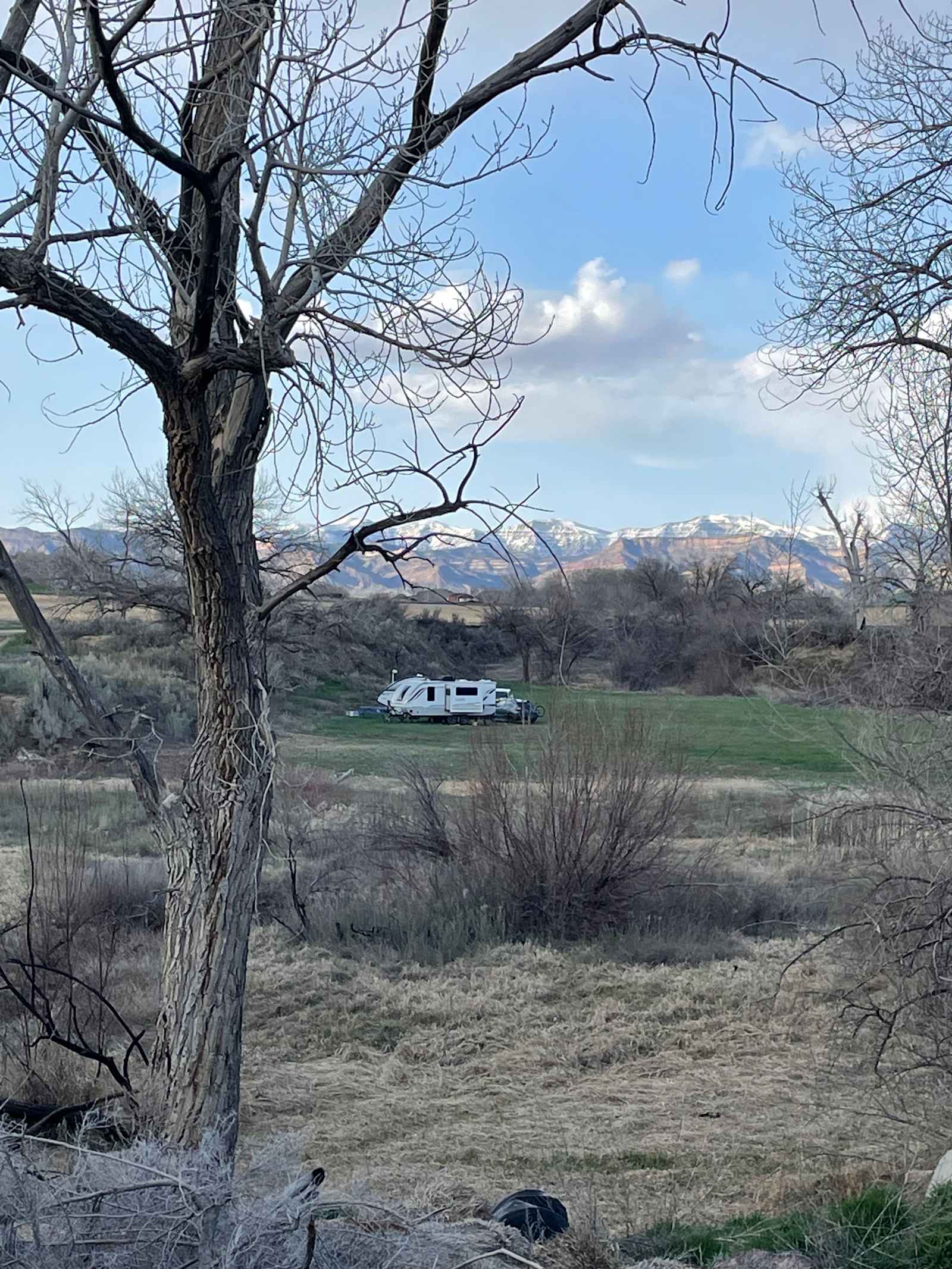 Desert camping views and wildlife - Fruita, Colorado - glamping.directory