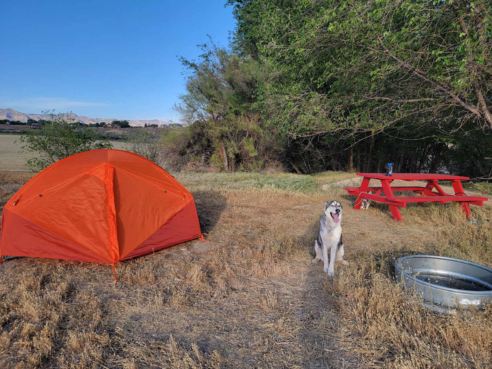 Desert camping views and wildlife - glamping.directory