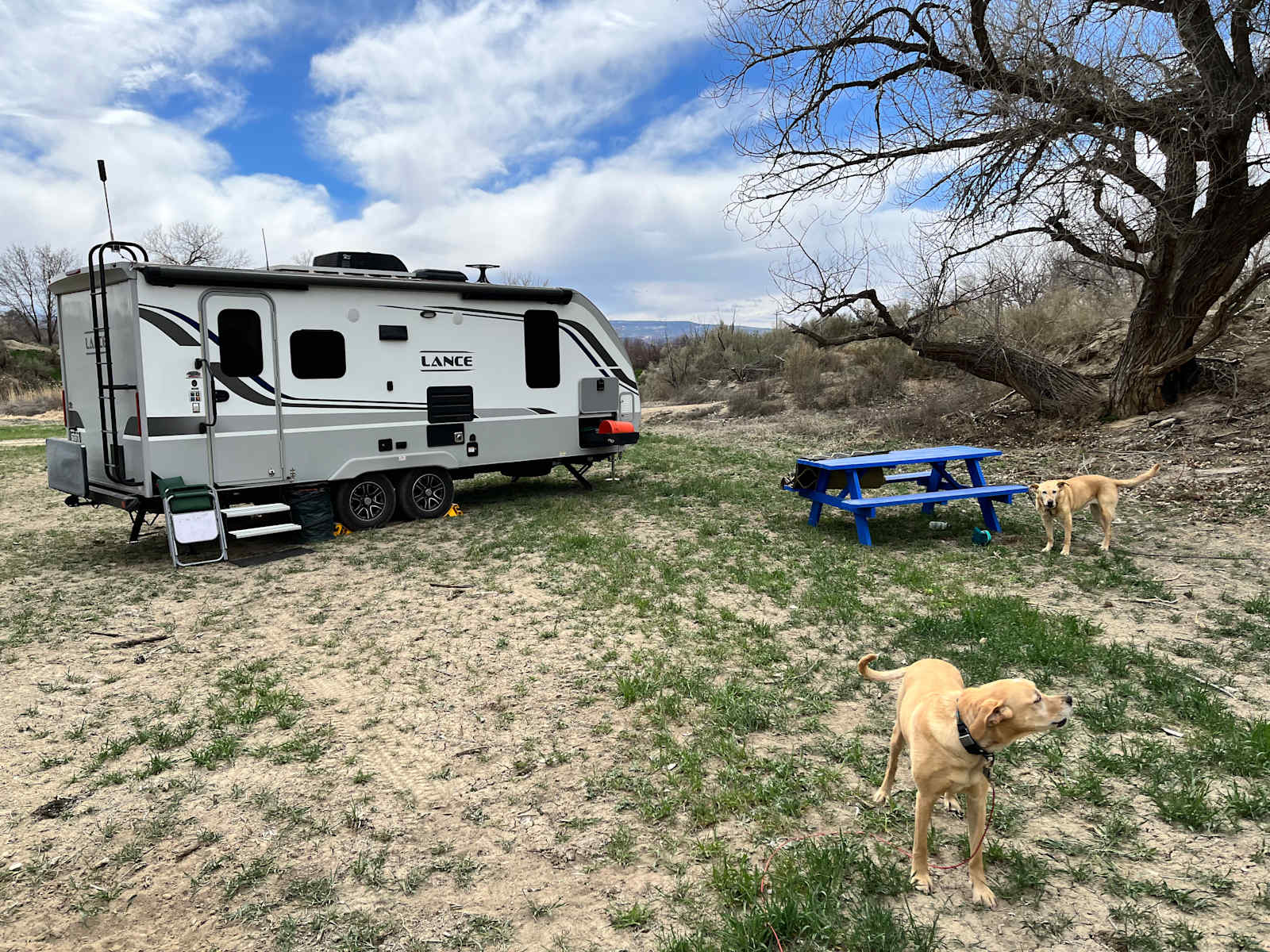 Desert camping views and wildlife - Fruita, Colorado - glamping.directory