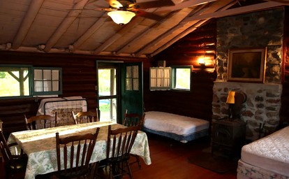 Rustic Cabin Overlooking the Beautiful Seneca Lake in New York - Hector, New York - glamping.directory