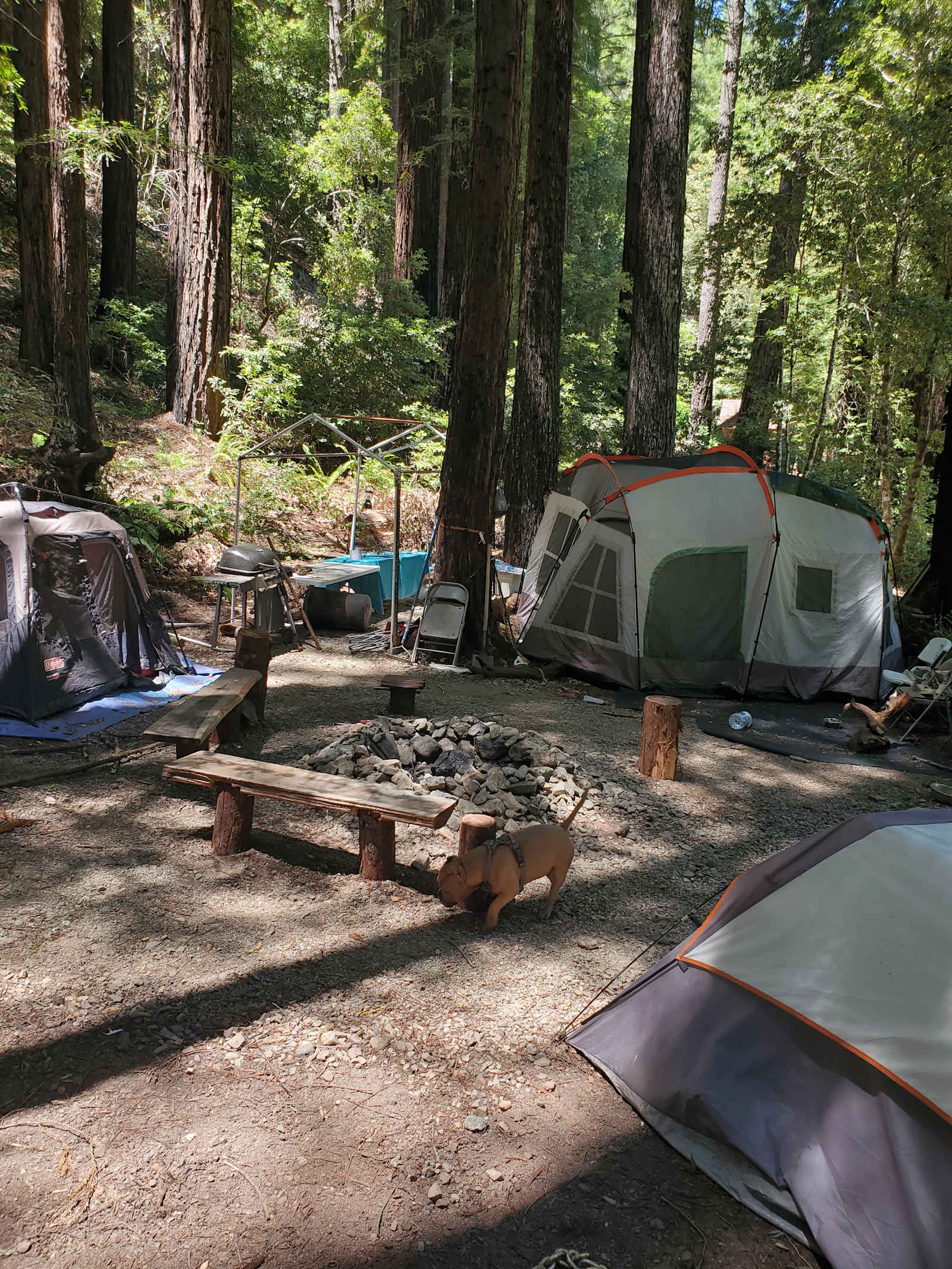 Mission Canyon - Guerneville, California - glamping.directory