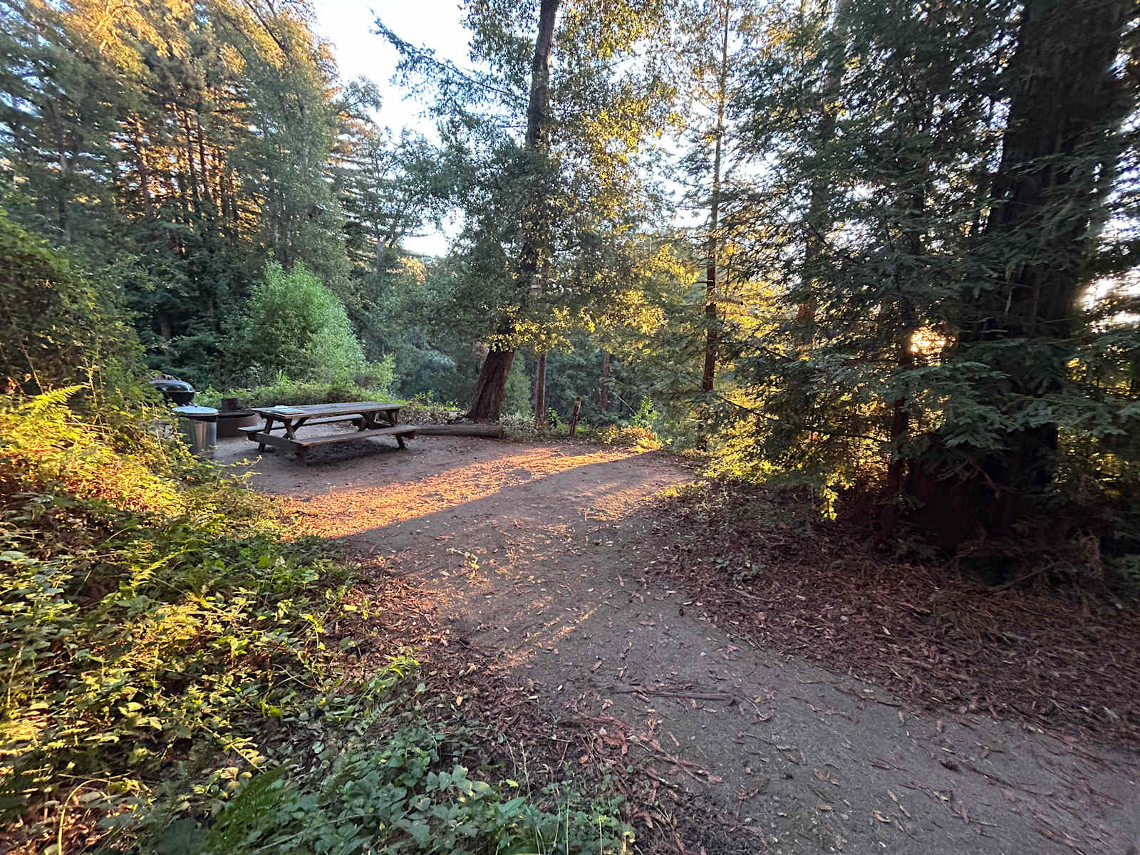 Fern Ridge Flats - Private Camping - Aptos, California - glamping.directory
