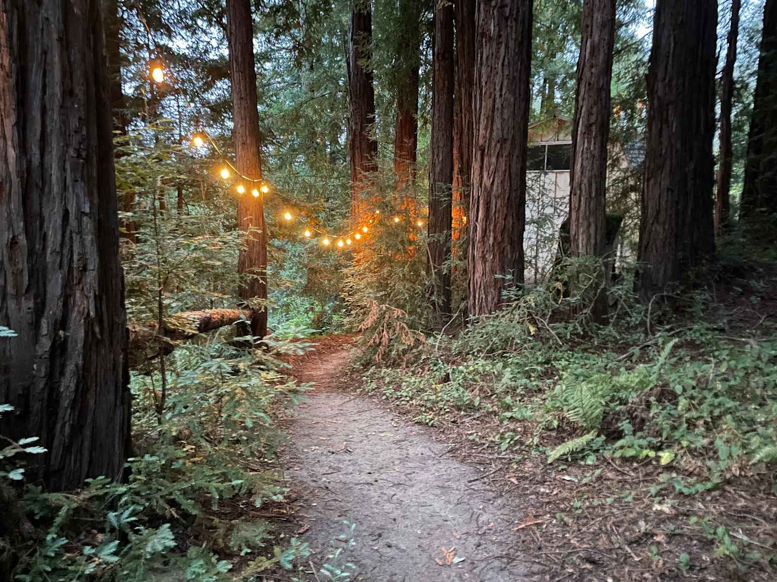 Fern Ridge Flats - Private Camping - glamping.directory