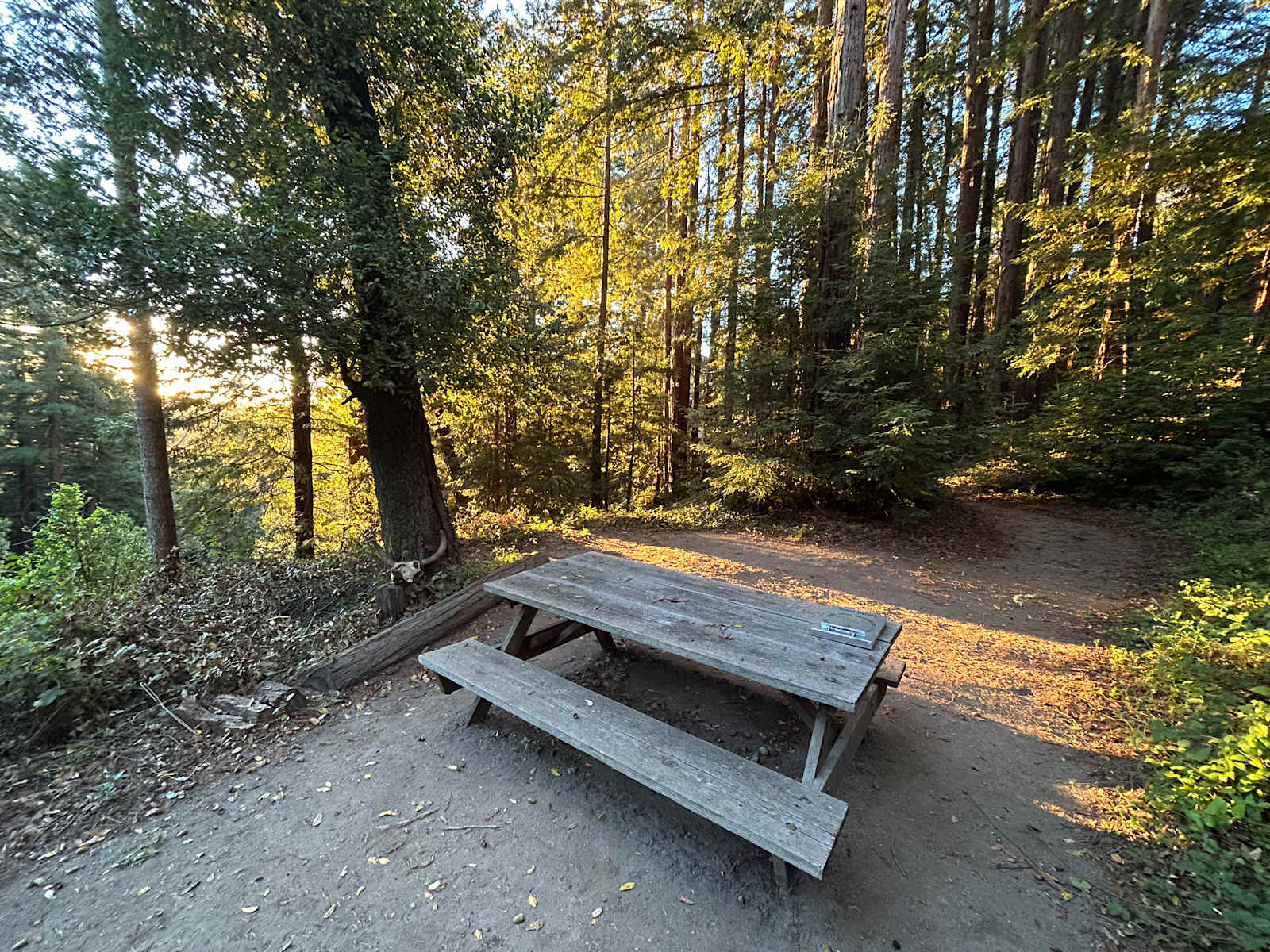 Fern Ridge Flats - Private Camping - Aptos, California - glamping.directory