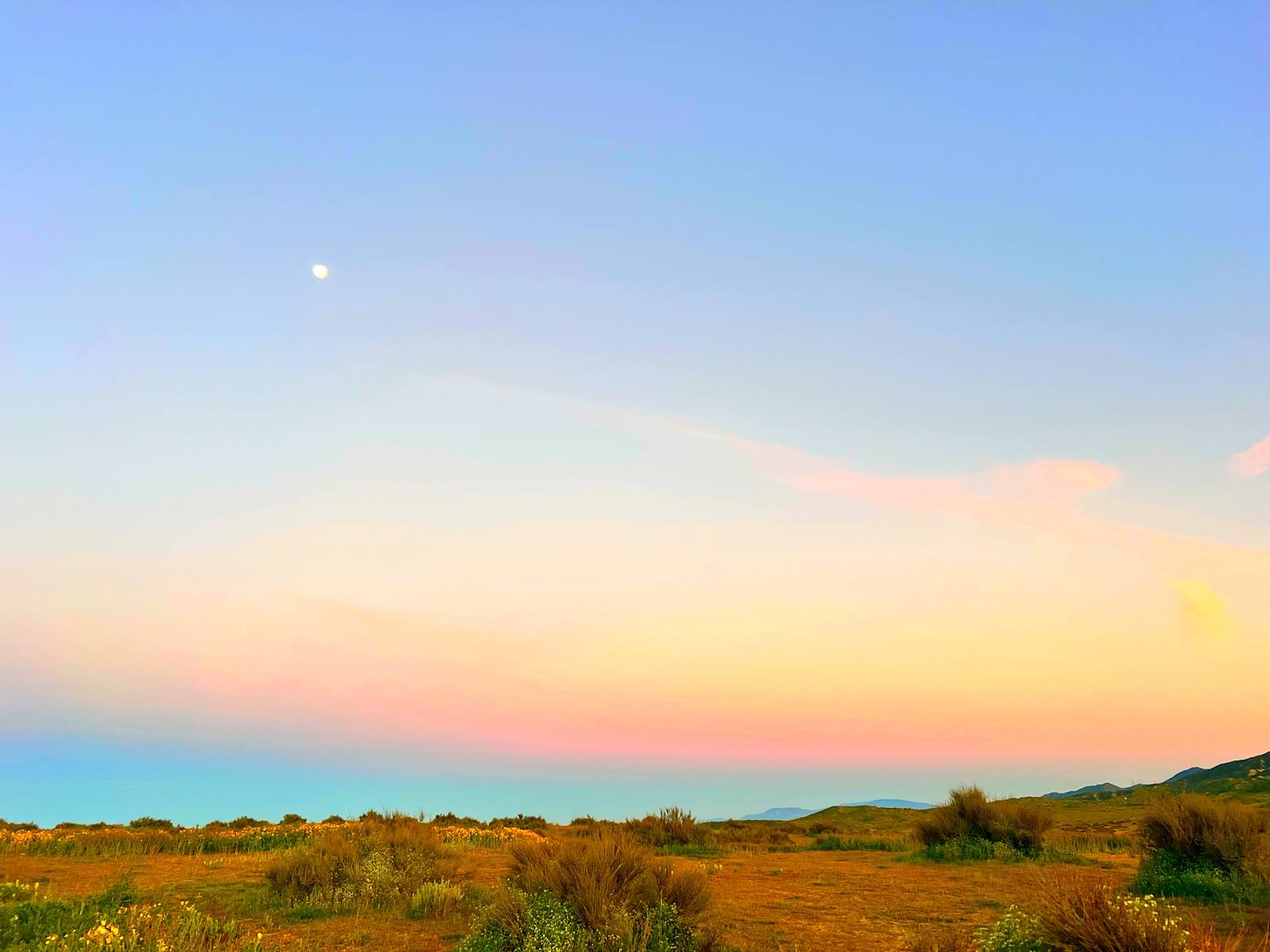 The Pergola at Carrizo Plain - New Cuyama, California - glamping.directory