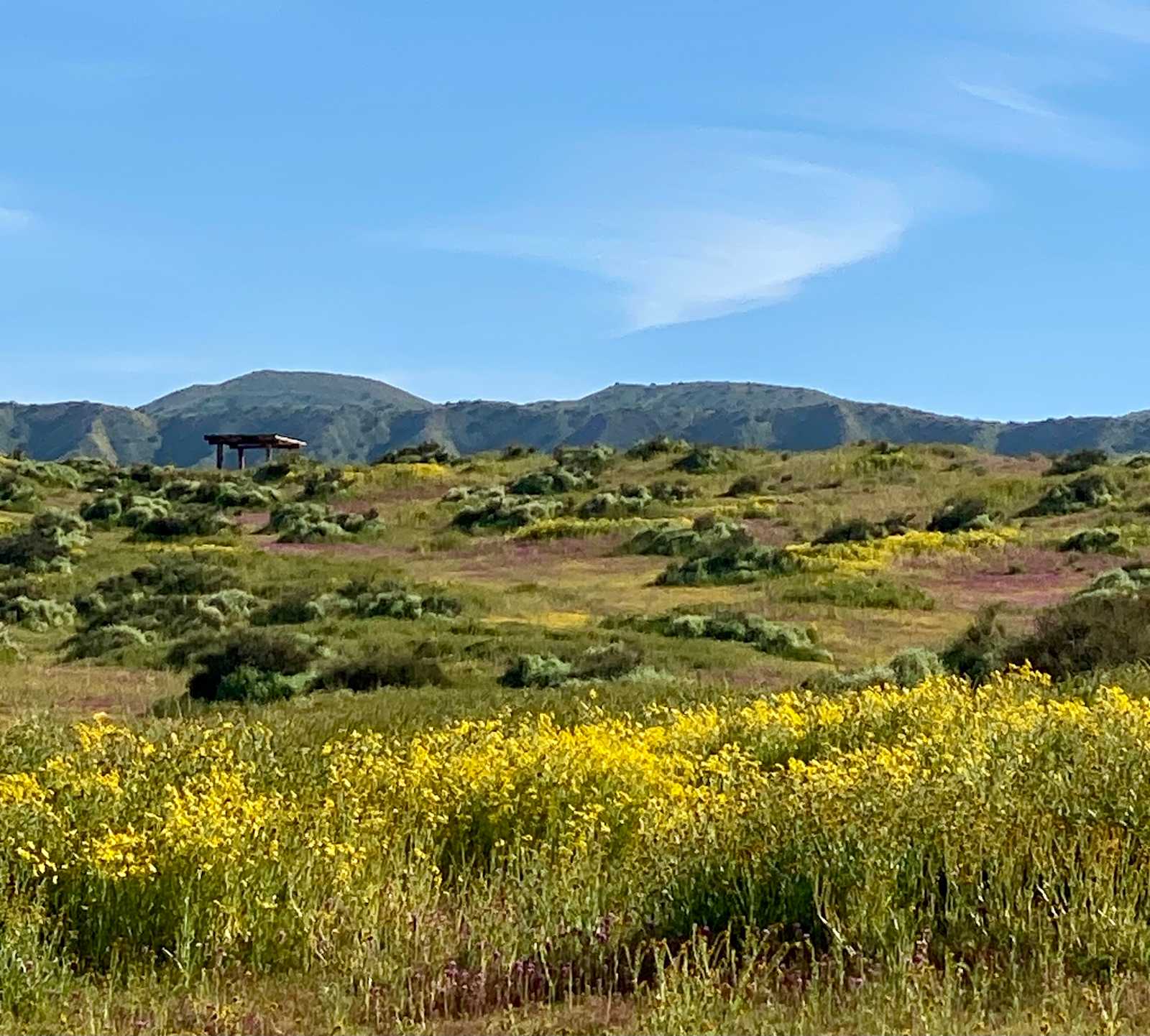 The Pergola at Carrizo Plain - New Cuyama, California - glamping.directory
