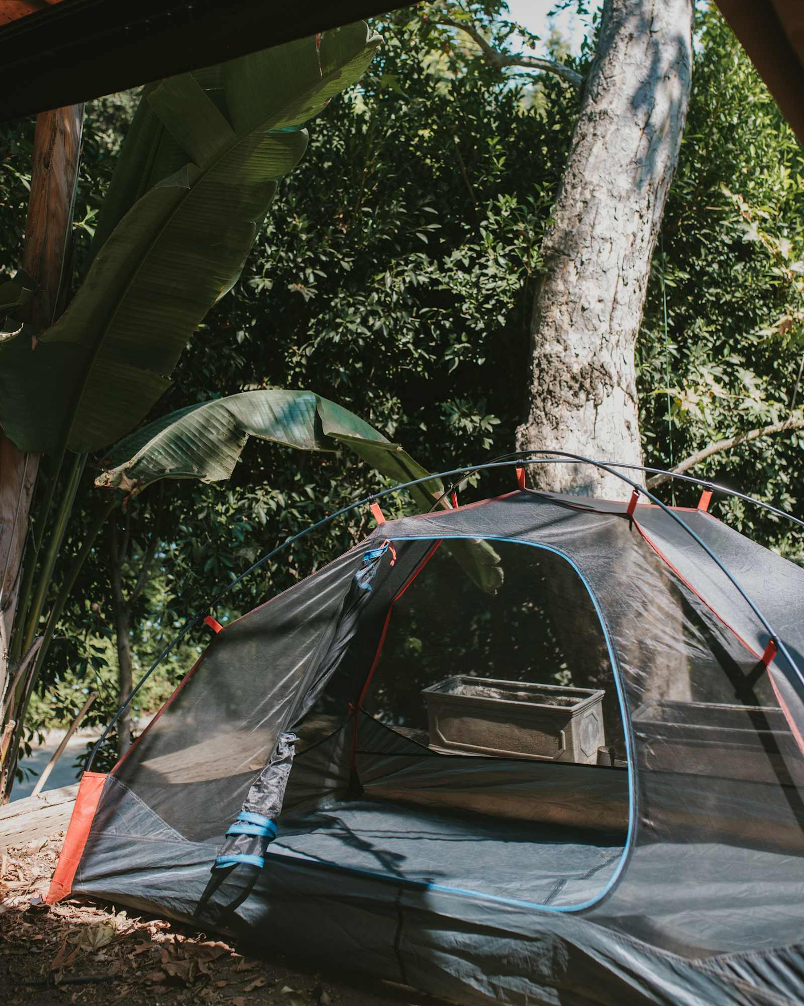 Willow Glen - Los Angeles, California - glamping.directory
