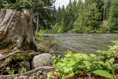 Spectacular Riverfront Family Cabin with Hot-Tub and Barbecue in Leavenworth, Washington - Leavenworth, Washington - glamping.directory