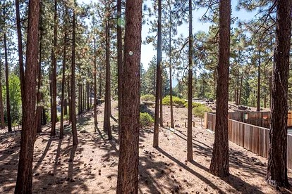 Delightful Rustic Cabin for Family and Group Getaways near Heavenly Ski Resort and Lake Tahoe, California - South Lake Tahoe, California - glamping.directory
