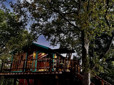 Unique Bamboo Tree House for an Unforgettable Couples Getaway by Lake Conroe, Texas - glamping.directory