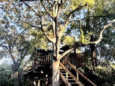 Unique Bamboo Tree House for an Unforgettable Couples Getaway by Lake Conroe, Texas - Willis, Texas - glamping.directory