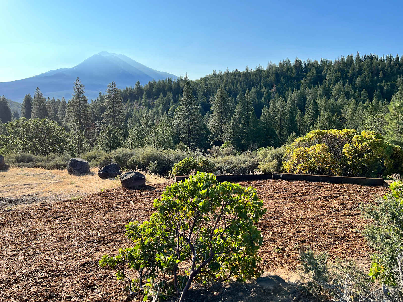 Trailer Lane Campground - Weed, California - glamping.directory