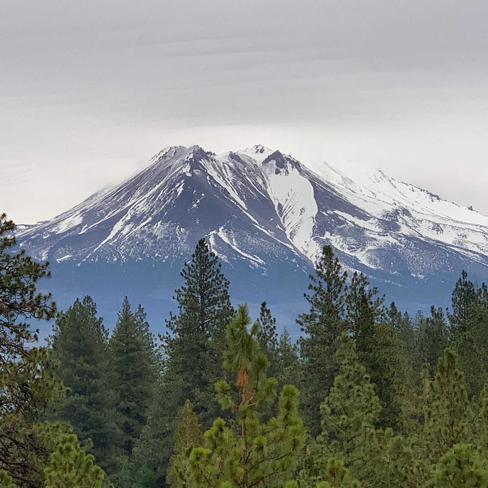 Trailer Lane Campground - Weed, California - glamping.directory