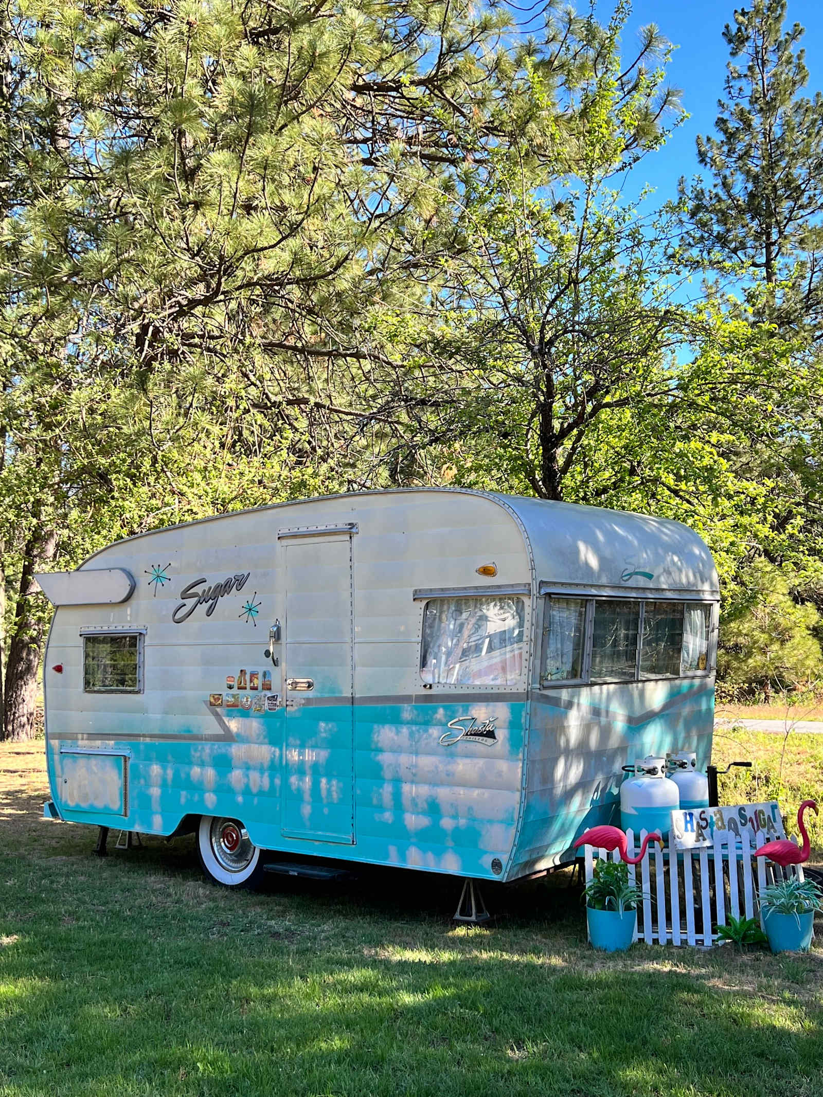 Trailer Lane Campground - Weed, California - glamping.directory