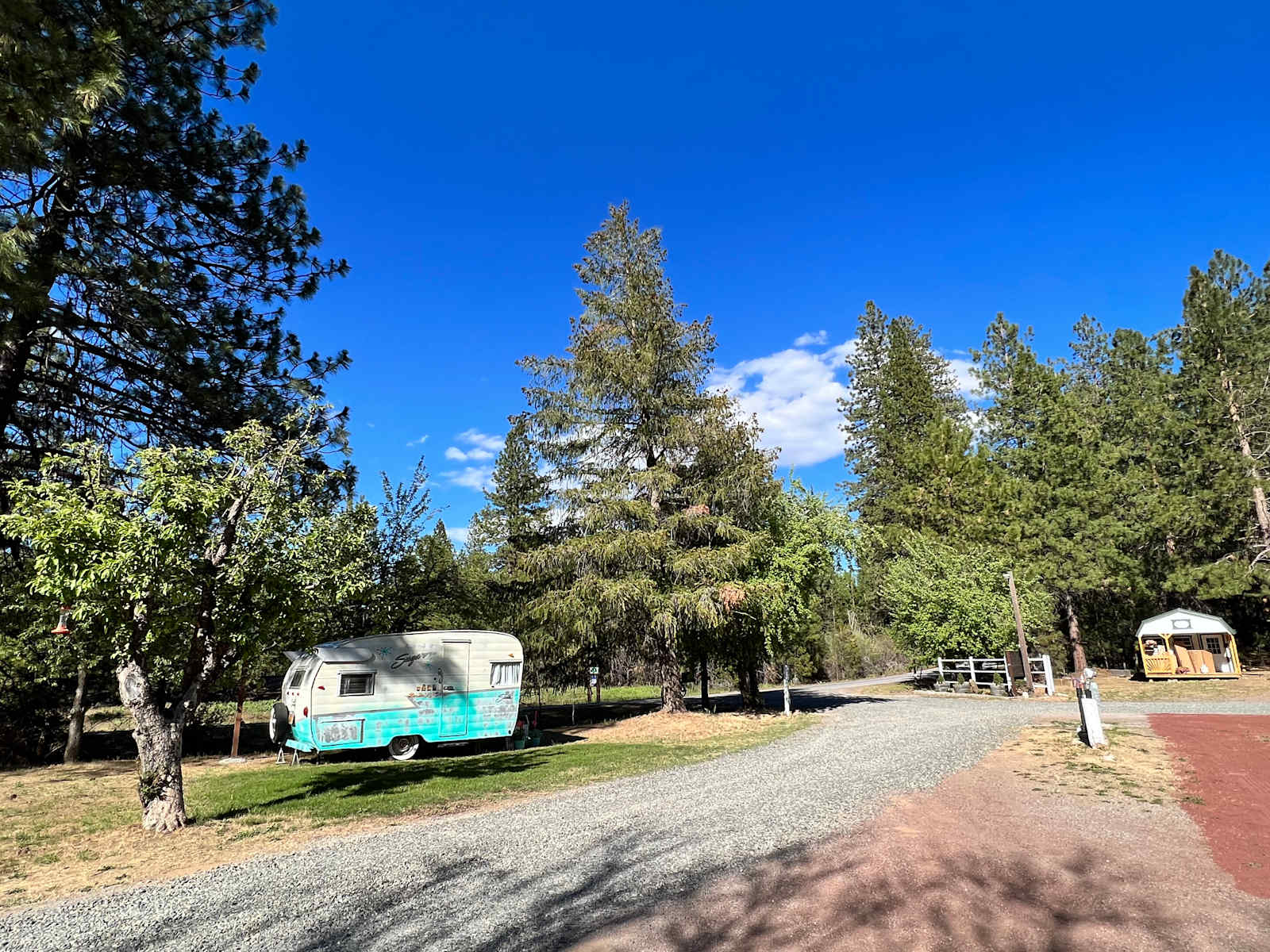 Trailer Lane Campground - Weed, California - glamping.directory