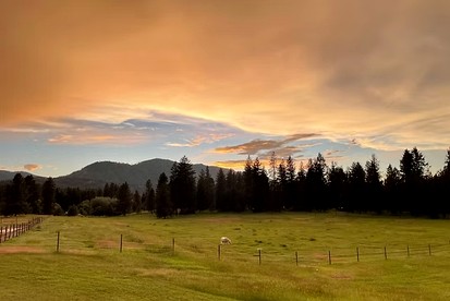 Cozy Tiny House Surronded by Thompson Falls and the Montana Mountains - Thompson Falls, Montana - glamping.directory