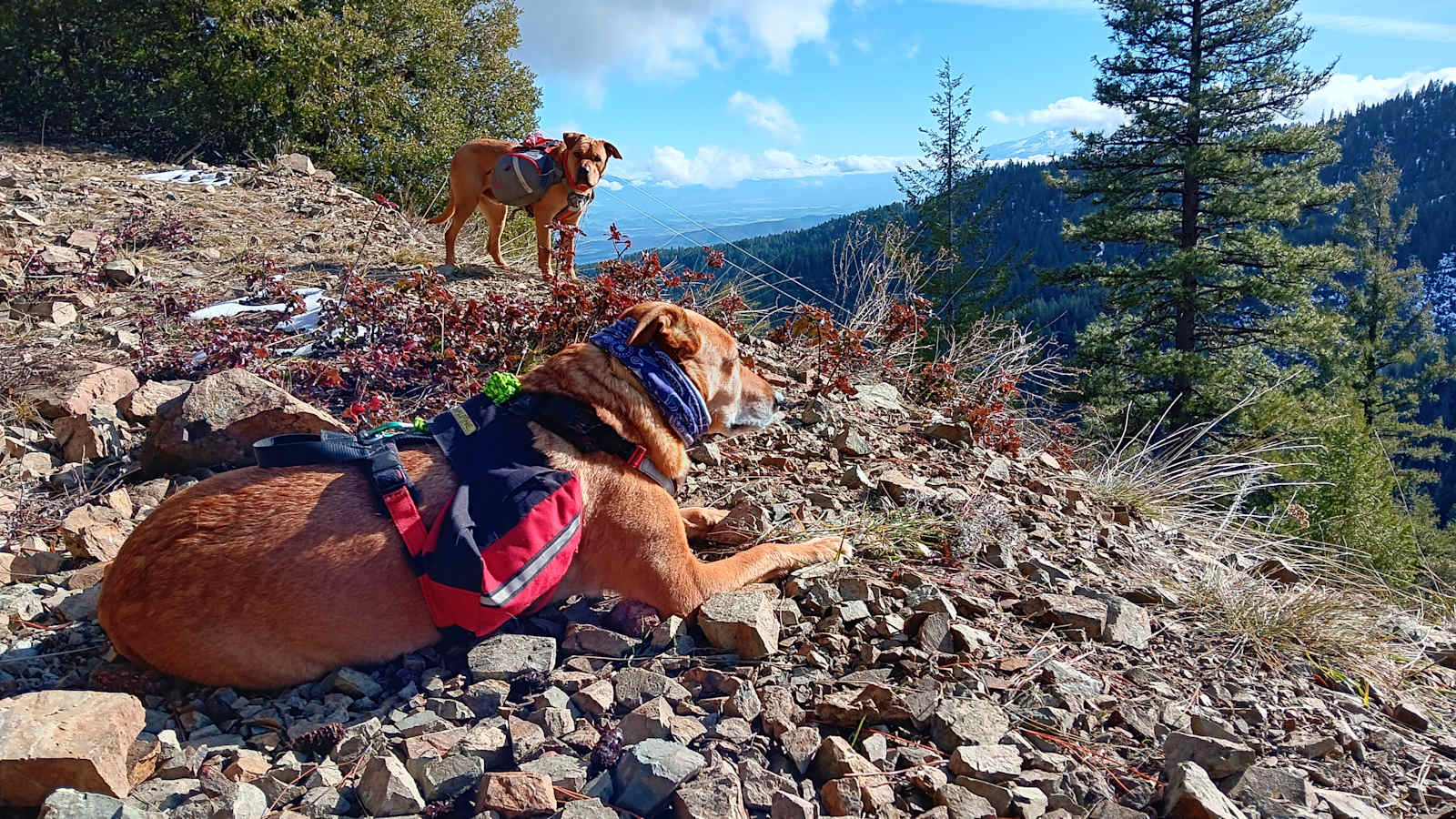 TKi Land - Yreka, California - glamping.directory
