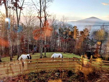 Farmhouse Guest Room with Mountain Views for a Getaway Only Five Minutes from Downtown Blue Ridge, Georgia - Blue Ridge, Georgia - glamping.directory